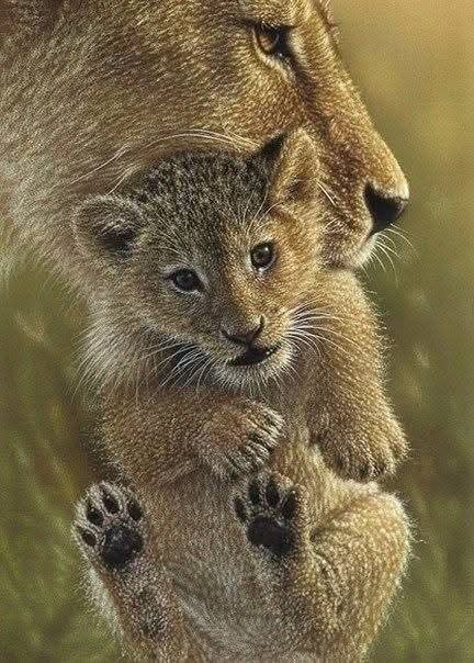 :)  Collin Bogle - 5