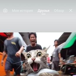 ����, ������, 36 ���