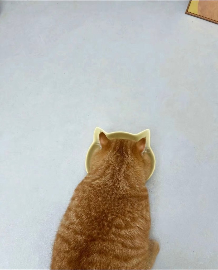 ,  ? - 2