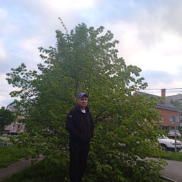 �������, �����, 43 ����