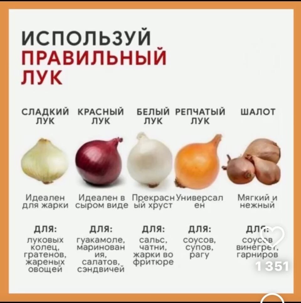  - 11  2025  13:17