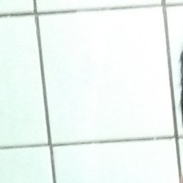 ���� �������, ������, 20 ��� - ��������� 15 ������� 2023