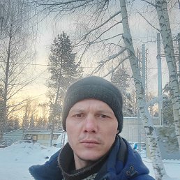 ���� �������, 37 ���, ��������