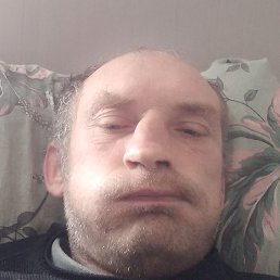 ���������, ����, 41 ���