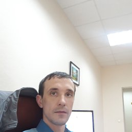 ������, 41 ���, ������