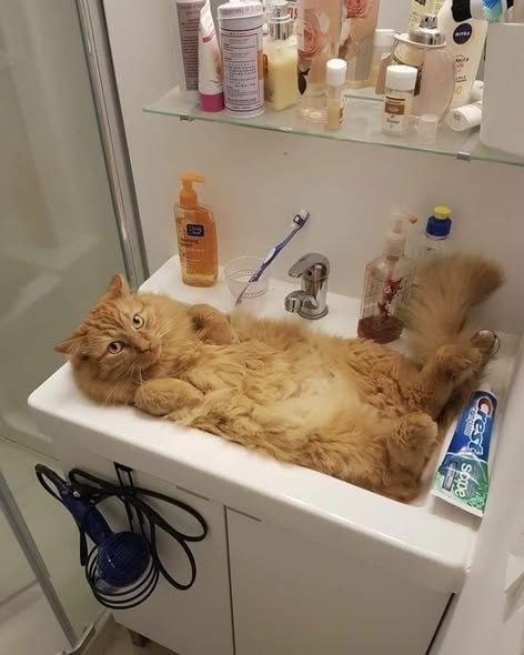 ��������� � �������� - 3