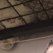 �����, 38 ���, �����������