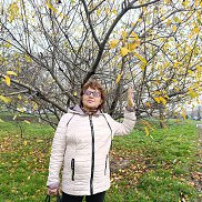 �������, , ������