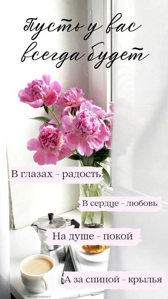   ,    . - 17  2025  20:52