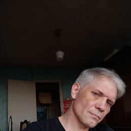 ���� ������, �����, 46 ��� - ��������� 14 ������� 2024