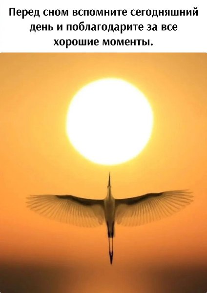   - 19  2025  23:58