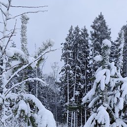 ���� �������, ����������, 20 ��� - ��������� 27 ������ 2026