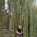 ���� �������, ��������, 59 ��� - ��������� 1 ������� 2024