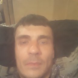 , 41, 