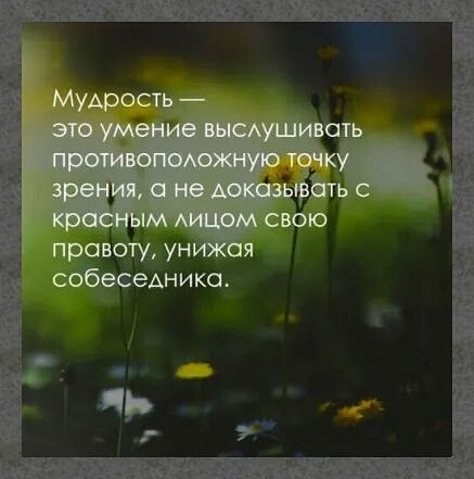 ☆ ☆ - 29  2024  08:29