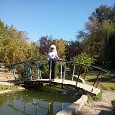 ���� ���������, ����������� - ��������� 4 ������� 2025 � ������ ������ ��������