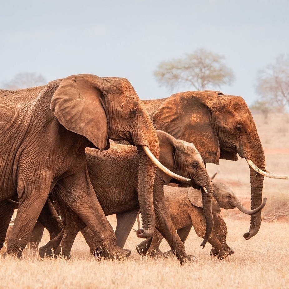 � ����� � �������, �������� �� �������, ���� ��������� �����... ����� ������ ��������� ���� �������� ... - 3