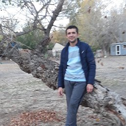  , 38, 