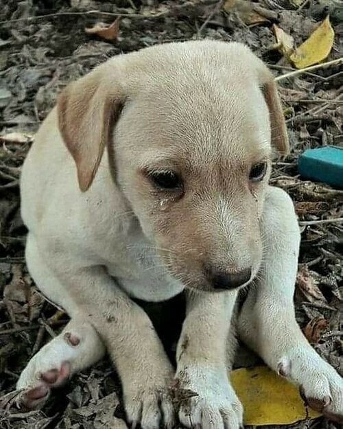   ! - 12  2025  09:30 - 2