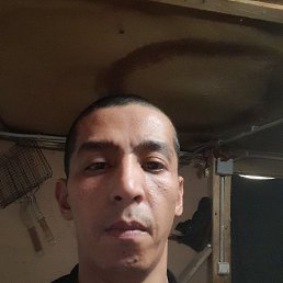 ���� ��������.���, ������, 36 ��� - ��������� 23 ������ 2024