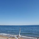 ���� ���� Ը�������, ������ - ��������� 15 ������� 2026 � ������ ���� ����������