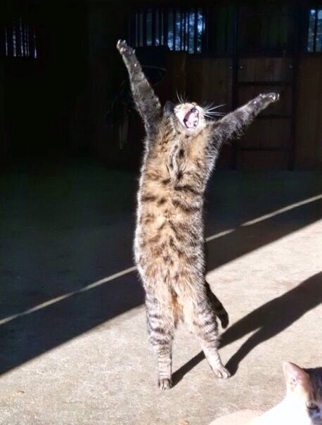 ��������!