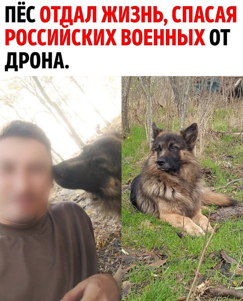      !