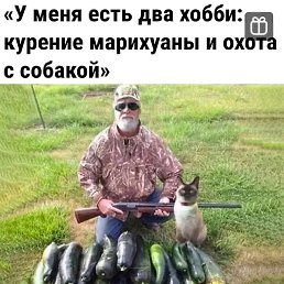 �����, ���������, 92 ����