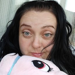 �������� ������, ���������, 41 ���