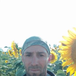  , 44, 