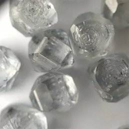 ����������, ������, 55 ���