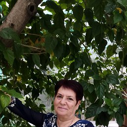 ���� �������, �����, 79 ��� - ��������� 9 ������ 2024