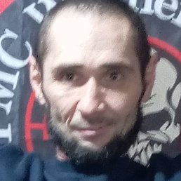 ��������, ����, 49 ���