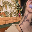 ���� Herdi, �����������, 41 ��� - ��������� 7 ������� 2026 � ������ ���� ����������