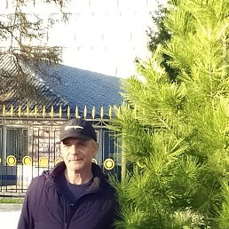 , 53, 