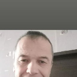 , 50, 