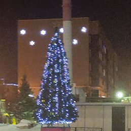 ��������, �����-���������, 37 ���