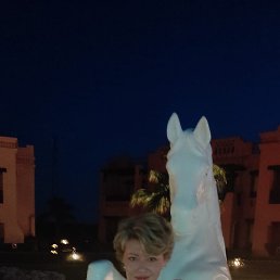 ����, ������, 54 ����