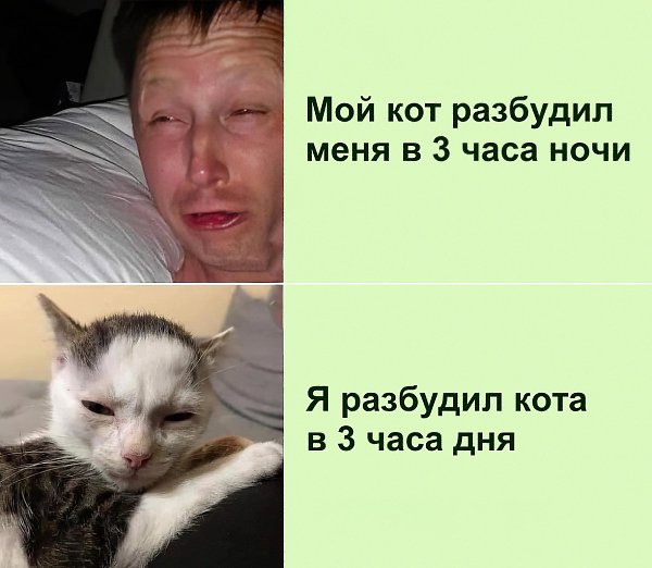 ������� �������))