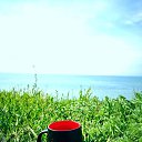���� �������, ��������� - ��������� 13 ������ 2024 � ������ ���� ����������