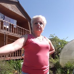 ���� �����, ������, 49 ��� - ��������� 8 �������� 2026