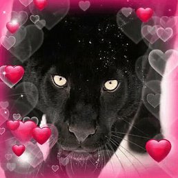 Dlma, �����-���������, 40 ���