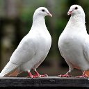 ���� ��������, ���������� - ��������� 6 ������ 2024 � ������ ���� ����������