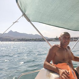 ������, ������, 50 ���