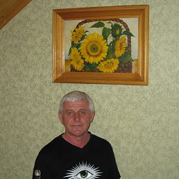 , 67, 