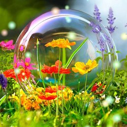 ����, ���������, 55 ���