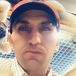 ����������, ������, 37 ���