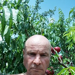 , 46, 