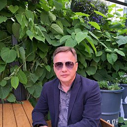 ���� �����, ������, 52 ���� - ��������� 11 ���� 2025