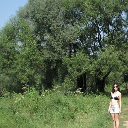 �������������, �����������, 38 ���